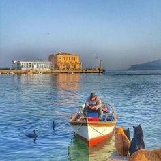 a man sitting in a boat on the water next to some seagulls and ducks