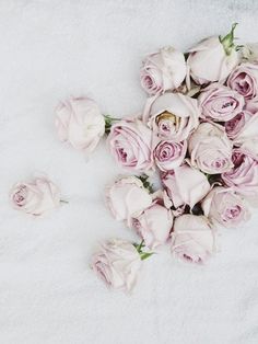 a bunch of pink roses laying on top of a white sheet with the petals still attached