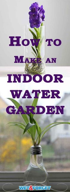 an indoor water garden with purple flowers in a glass vase and text overlay that reads how to make an indoor water garden