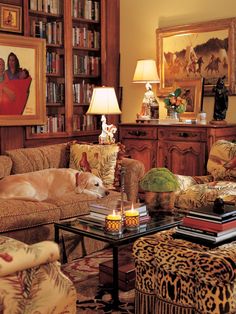 a living room filled with lots of furniture and bookshelves covered in pictures on the walls