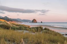 a beach with tall grass and mountains in the background