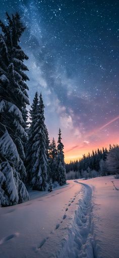 the night sky is lit up with stars above snow covered trees and tracks in the snow