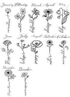 an image of flowers drawn on paper with the names of each flower and their meanings