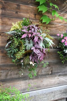 two hanging planters on the side of a wooden wall filled with purple and green plants