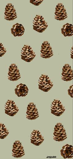 several pine cones on a green background