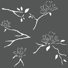 four white flowers on a gray background with leaves and branches in the foreground, against a black backdrop