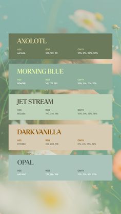 Colors:
6A7A5A
8DAF9B
BED2BA
D7CBB2
AAC4BC Cute Colour Pallete, Procreate Hex Codes, Color Combinations Canva, Interior Design Palette Mood Boards, Canva Palettes Color, Green Gold Palette, Canvas Color Codes, May Color Palette, Pretty Color Combos