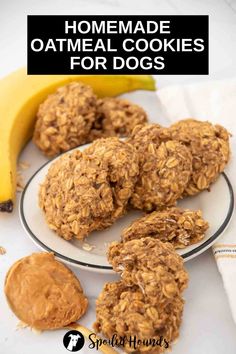 homemade oatmeal cookies for dogs on a plate