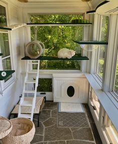 catio ideas cat Dröm Hus Planer, Cat Room Decor, Katt Grejer, Cat House Diy, Outdoor Cat House, Cat Enclosure, Animal Room