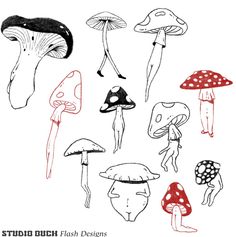 an image of various mushrooms drawn by hand