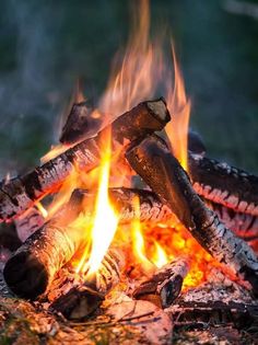 a camp fire with bright flames burning in the night time, close - up view