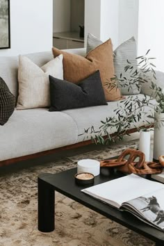 a living room filled with furniture and pillows on top of a coffee table next to a plant