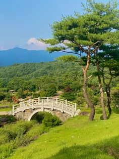 a white bridge crossing over a lush green hillside