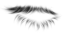 an image of long lashes on a white background