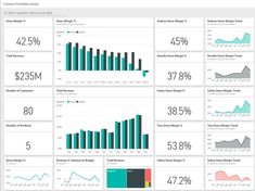 the dashboard is full of graphs and data for each person to see on their computer