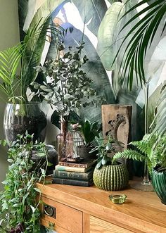 some plants are sitting on top of a dresser