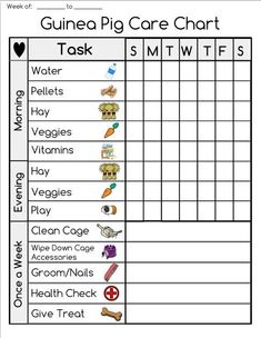 a printable worksheet to help students learn how to use the animal care chart