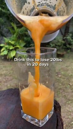 Juice Carrot, Detox Smoothies, Protein Smoothies, Vegetarian Lifestyle, Smoothie Drink Recipes, Smoothie Challenge, Superfood Smoothie, The Smoothie Diet, Healthy Drinks Recipes