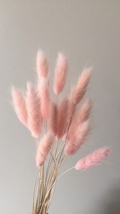 some pink feathers are in a vase on a table with grey walls and a white wall