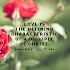 a red rose with the quote love is the definizing characteristics of a christ