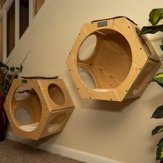 two wooden bird feeders sitting on the ground next to a houseplant and potted plant