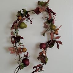 an arrangement of fruit and leaves arranged on a white wall in the shape of a letter o