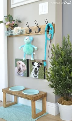 a dog's head is hanging on the wall next to two pictures and a potted plant