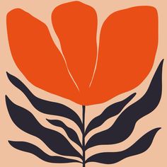 an orange flower with black leaves on a beige background