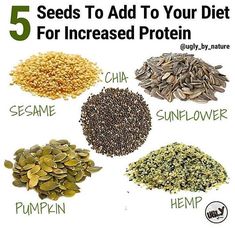 ▶ 5 Seeds to Add to your Diet for Increased Protein ❇️ ▫️ #Pumpkin seeds are incredibly high in iron and magnesium, and contain a larger amount of #protein than chia or flax per ounce, boasting a total of 5 grams per ounce. They even contain high amounts of anxiety-relieving tryptophan, an essential amino acid, which helps improve serotonin levels. ▫️ #Hemp seeds are known as one of the top sources of complete vegan protein, 13 grams of protein per 3 tablespoons. They’re also rich in iron, chlor Sesame Seed, Optimal Health, Vegan Protein, Food Tips, Plant Based Protein, Hemp Seeds, Pumpkin Seeds, Sunflower Seeds