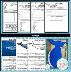 blue whale worksheet with pictures and text