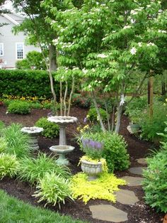 a garden filled with lots of different types of plants and flowers on top of it