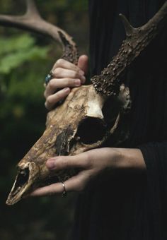 a person holding an animal skull with antlers on it's head in their hands