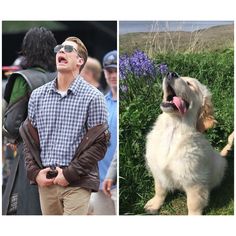 two pictures one is a man and the other has a dog with sunglasses on it