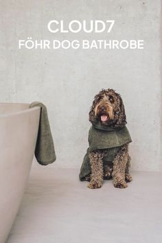 a dog sitting in front of a bath tub