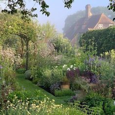 a lush green garden with lots of flowers