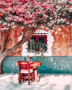 a table and two chairs under a tree with pink flowers on the wall behind them