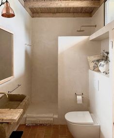 a white toilet sitting next to a bathroom sink under a wooden ceiling above a mirror