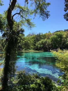 the water is crystal blue and clear in this area with trees on either side of it