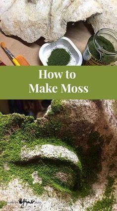 moss growing out of the side of a rock with text overlay reading how to make moss