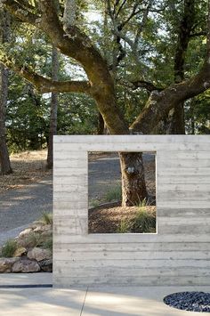 a wooden structure with a tree in the background