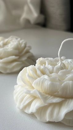 two white flowers sitting on top of a table