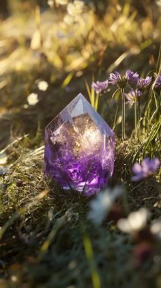 A small 5-10 cm hexagonal prism amethyst crystal lies among meadow grass and wildflowers, set against a soft beige and brown forest background, showcasing photorealism. No text!