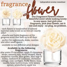 an info sheet describing how to use flower floss for face and body care products