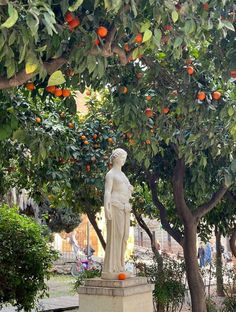 an orange tree filled with lots of oranges next to a statue in front of it