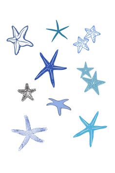 six starfishs in different colors and sizes on a white background with blue ink