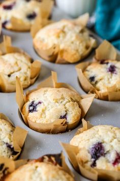 muffins with blueberries are sitting on a baking tray