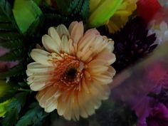 a close up view of a flower with many colors in the background and blurry