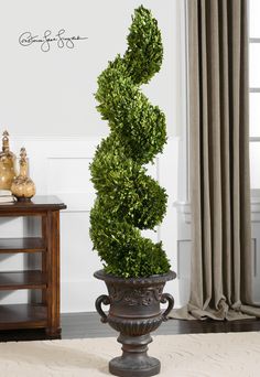 a tall potted plant sitting on top of a table