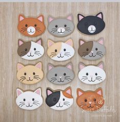 the cookies are decorated with different types of cats