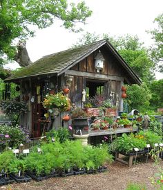 a garden shed with lots of potted plants on the porch and in the yard